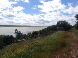 Flora del Cerro Masatrigo